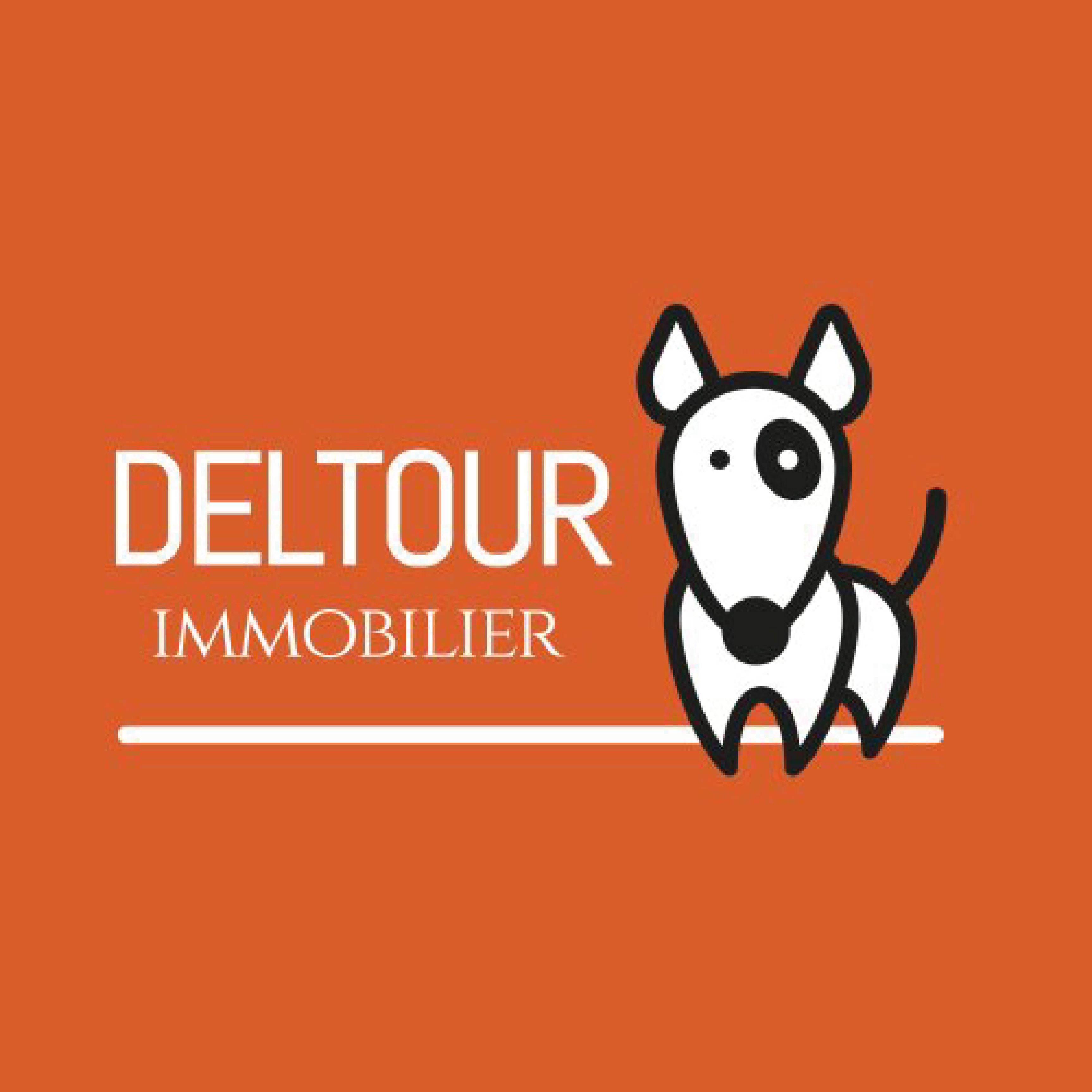 Logo Agence Immobilière Deltour
