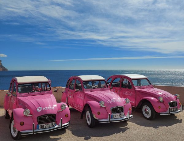 Ces liens qui nous unissent : L'engagement & nos 2cv roses ! photo