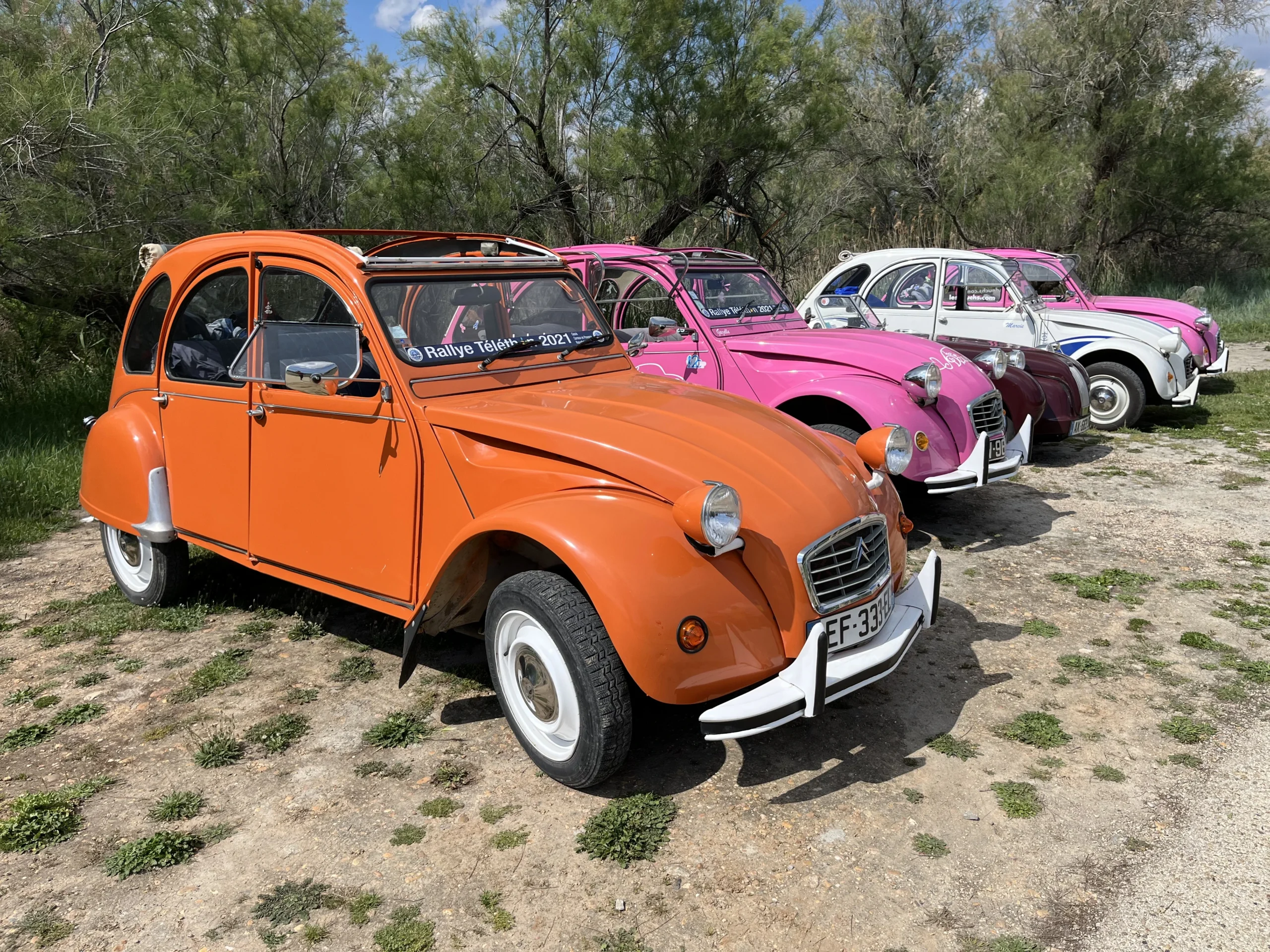Cortège de 2CV pour Octobre Rose