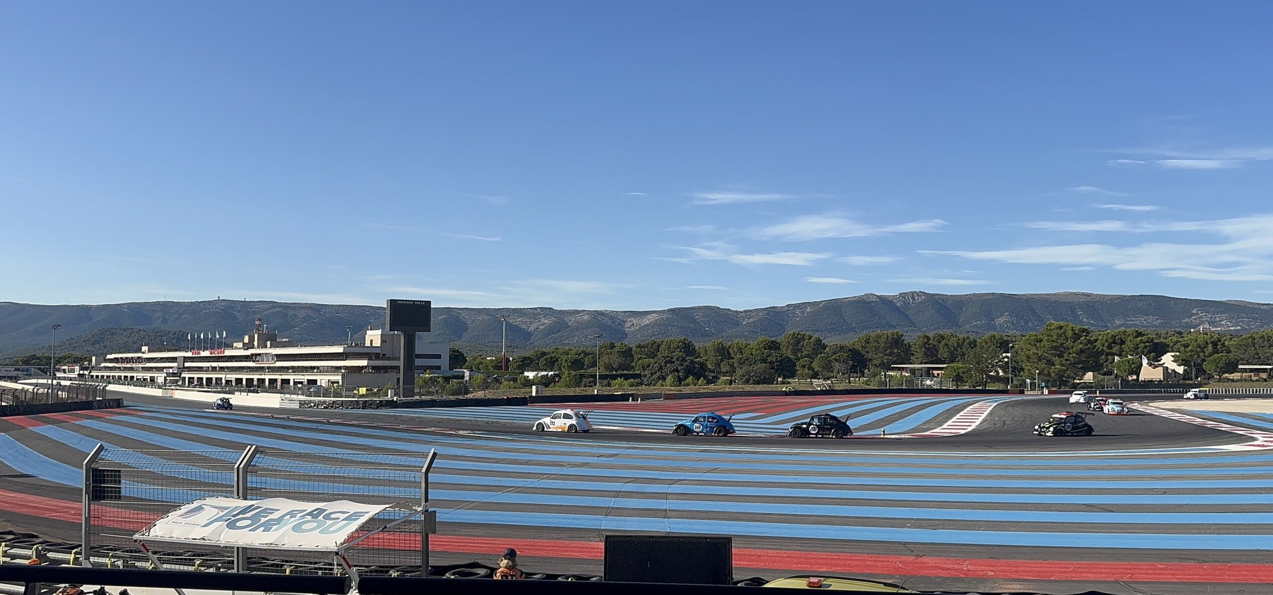Course de coccinelles sur le circuit